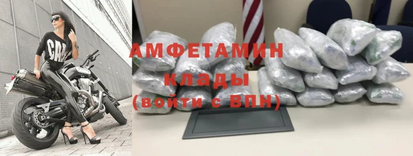 хмурый Верея