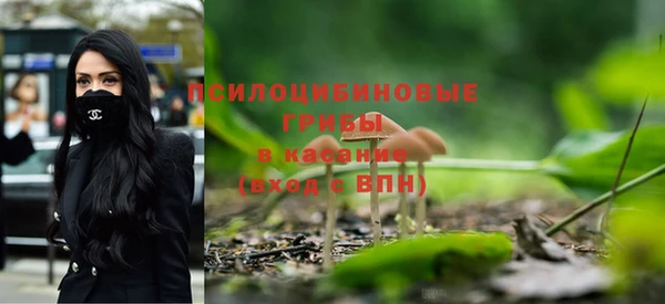 СК Бородино