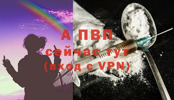 СК Бородино