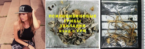 хмурый Верея