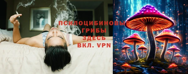 СК Бородино