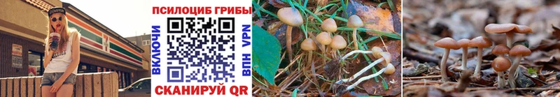 гидра онион  Бийск  Псилоцибиновые грибы GOLDEN TEACHER  как найти наркотики 