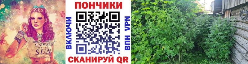 omg   Бийск  Конопля AK-47  купить наркотики сайты 